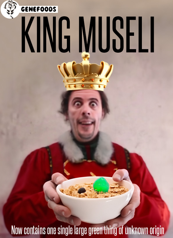 king museli.jpg