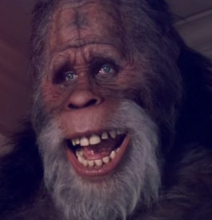 4. harry2.jpg
