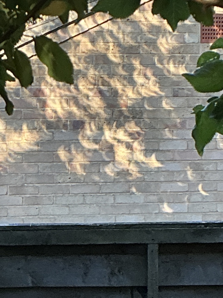 eclipseshadows001s.jpg