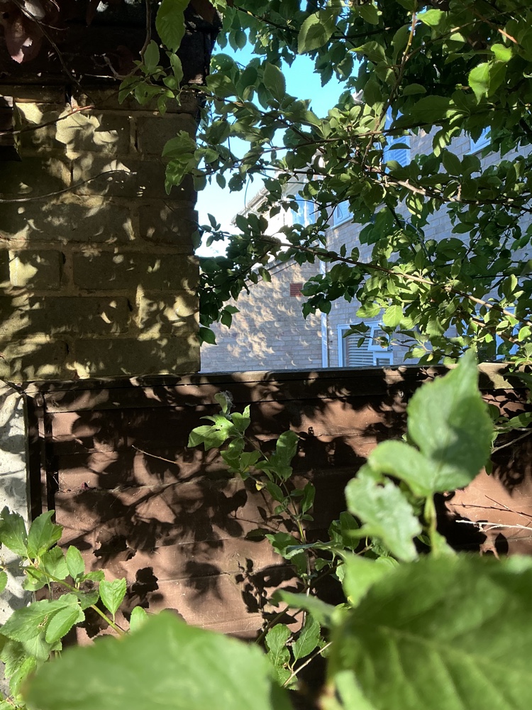 eclipseshadows002s.jpg