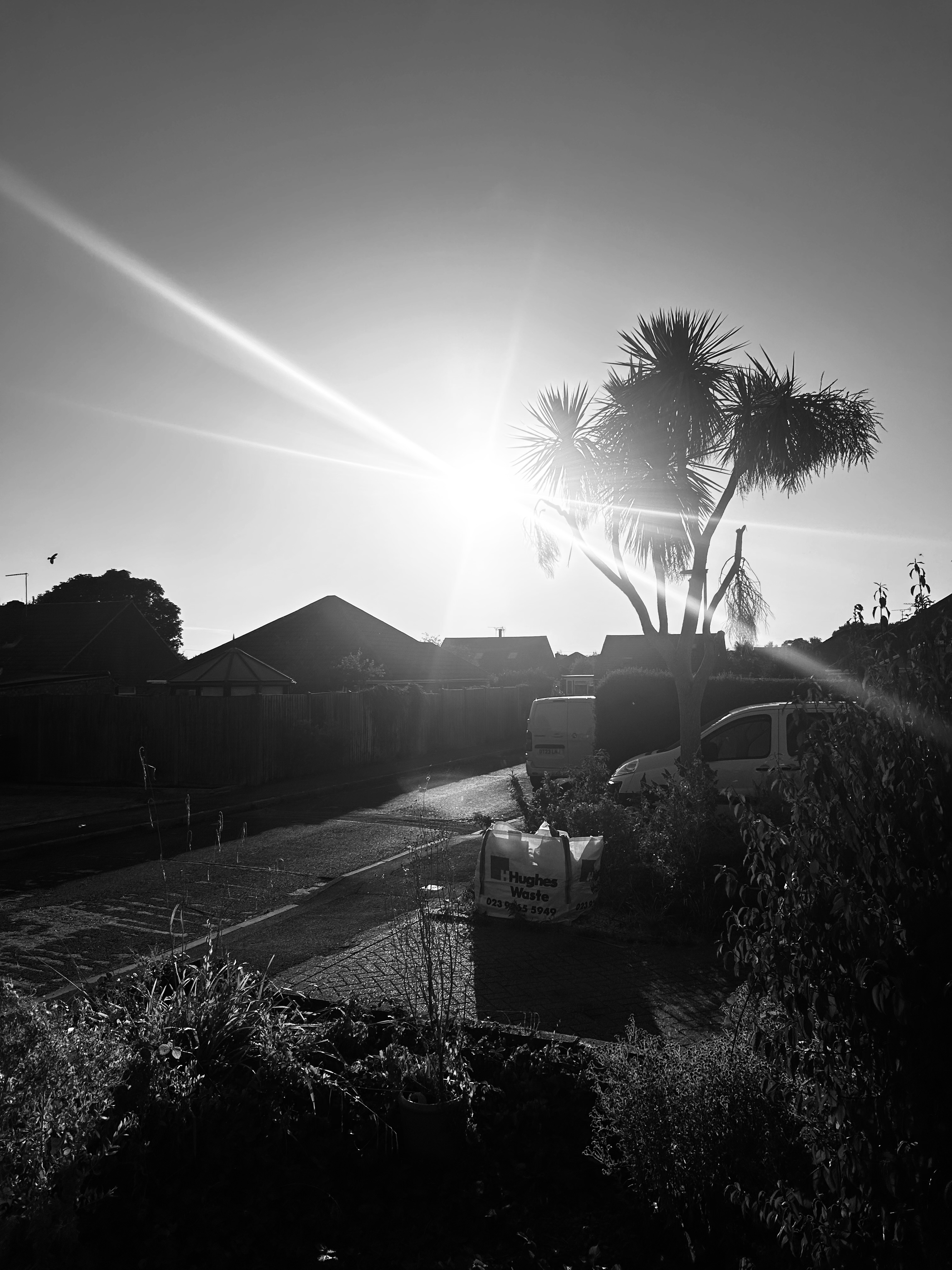 IMG_4832.jpeg